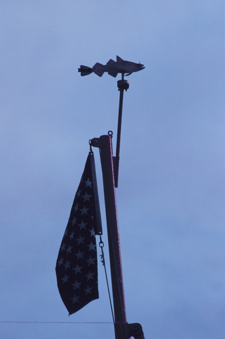 Old-fashioned fish wind-vane on the bow of the MILLER FREEMAN