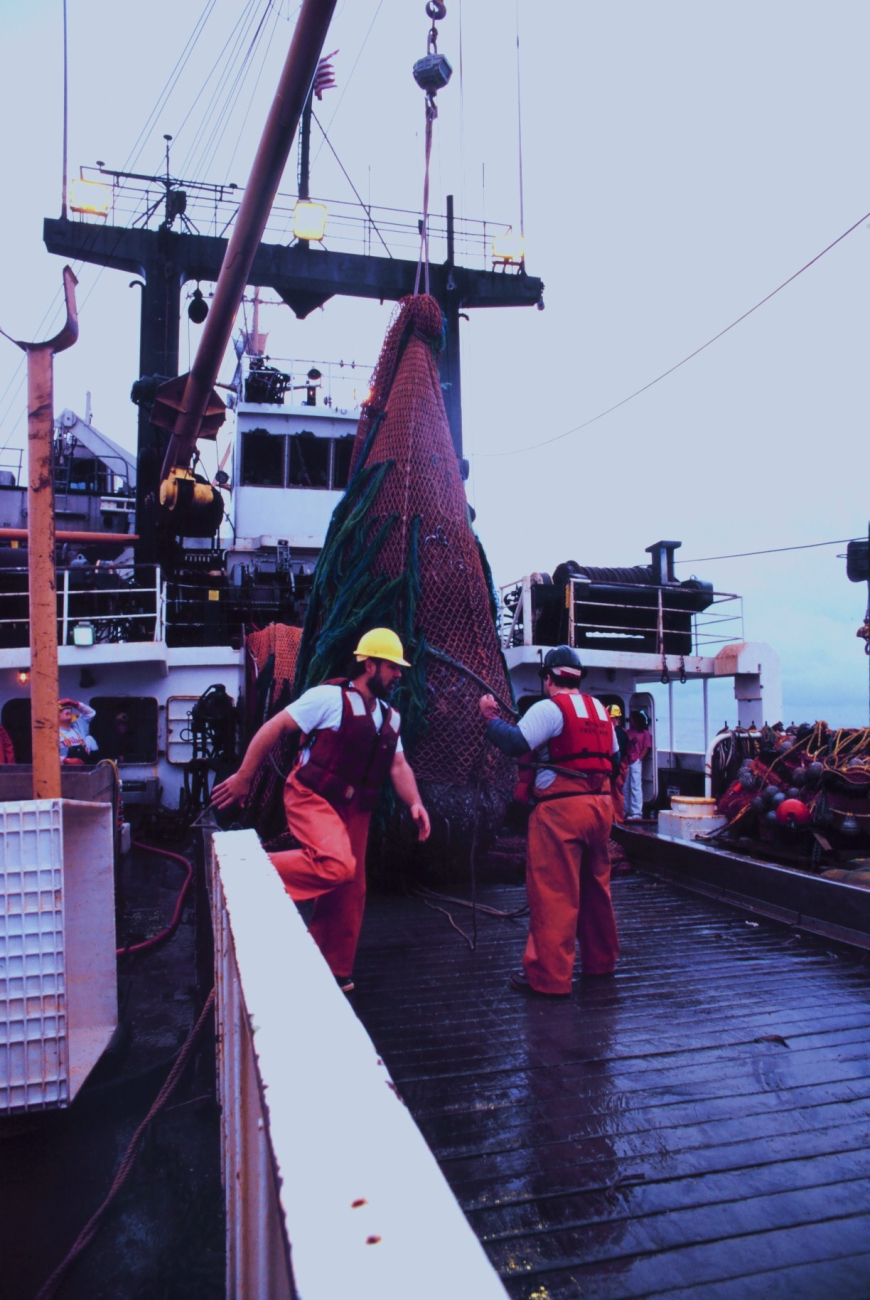 Trawling operations on the MILLER FREEMAN
