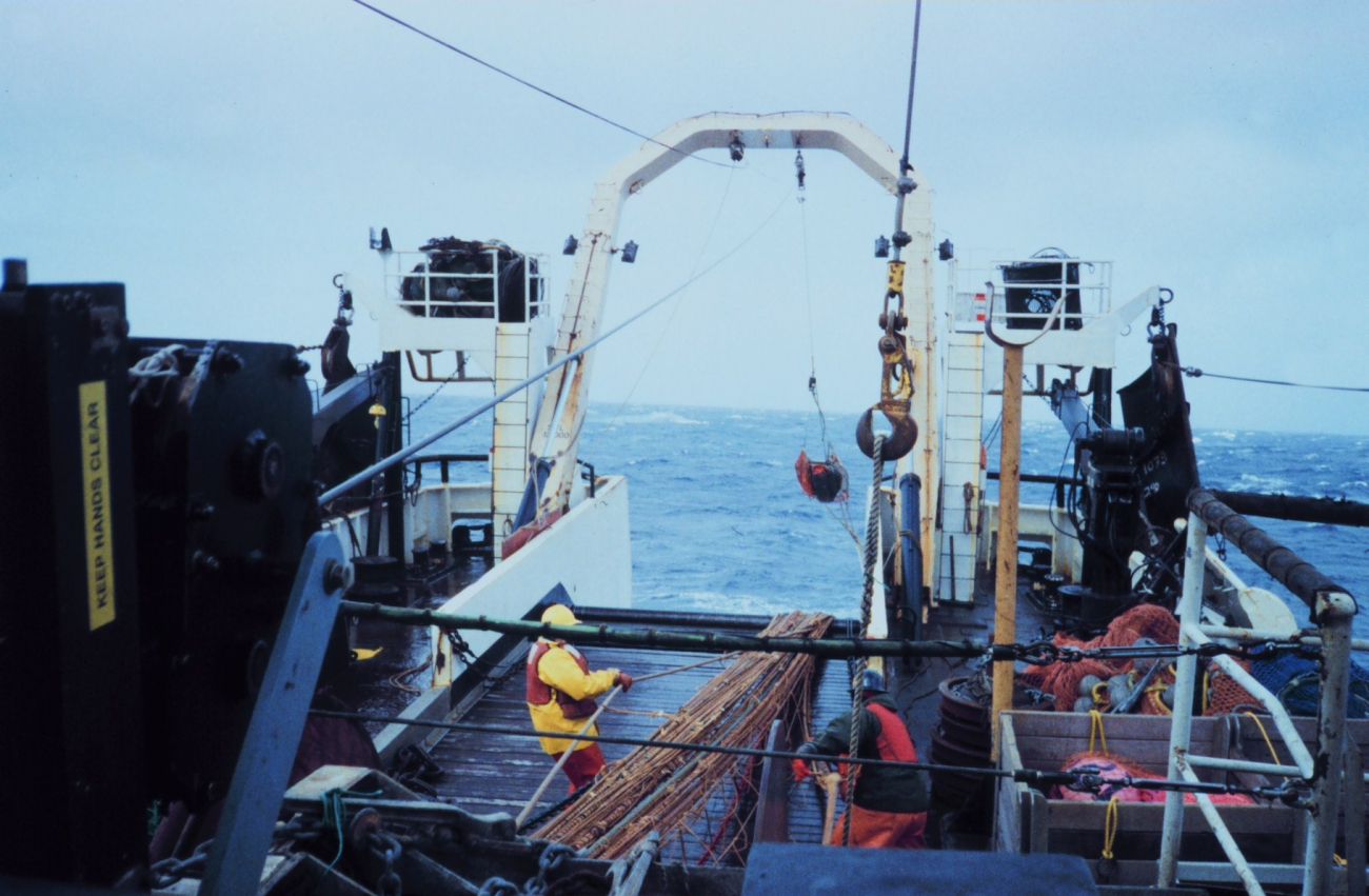 Hauling back the net at the end of a trawl