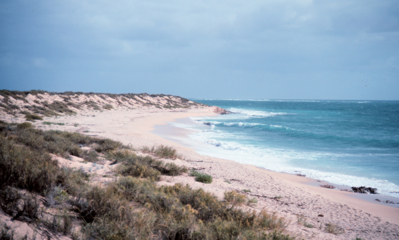 A busy Northwest Cape beach looking southwest towards the Indian Ocean