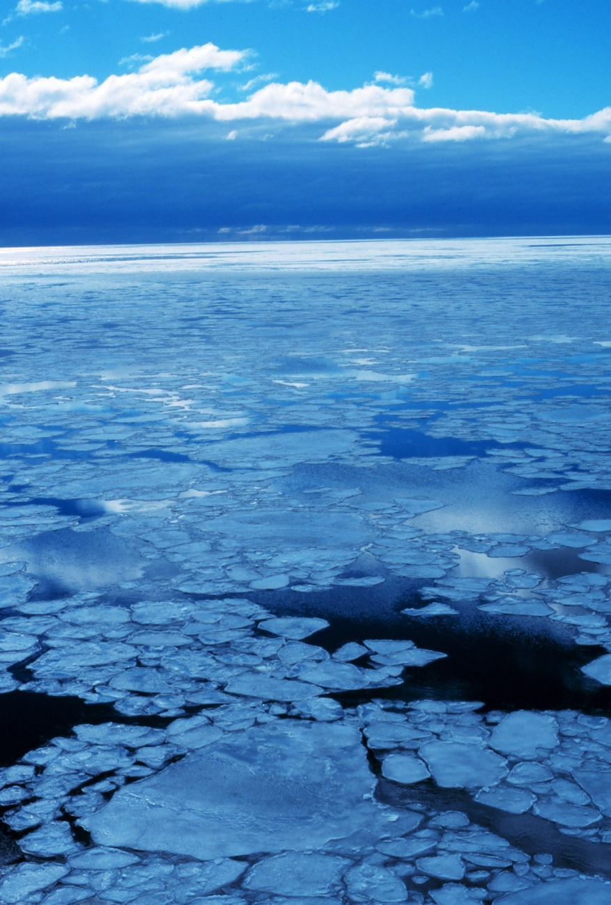 Small ice floes in open water as seen from the bridge of theNATHANIEL B