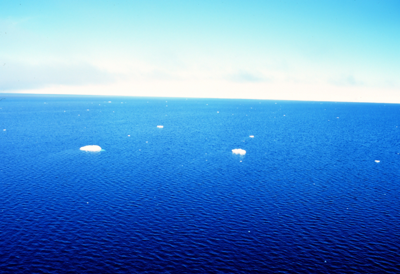 Drifting bits of sea ice