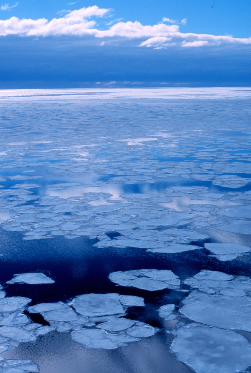 Pancake ice adrift on the Ross Sea