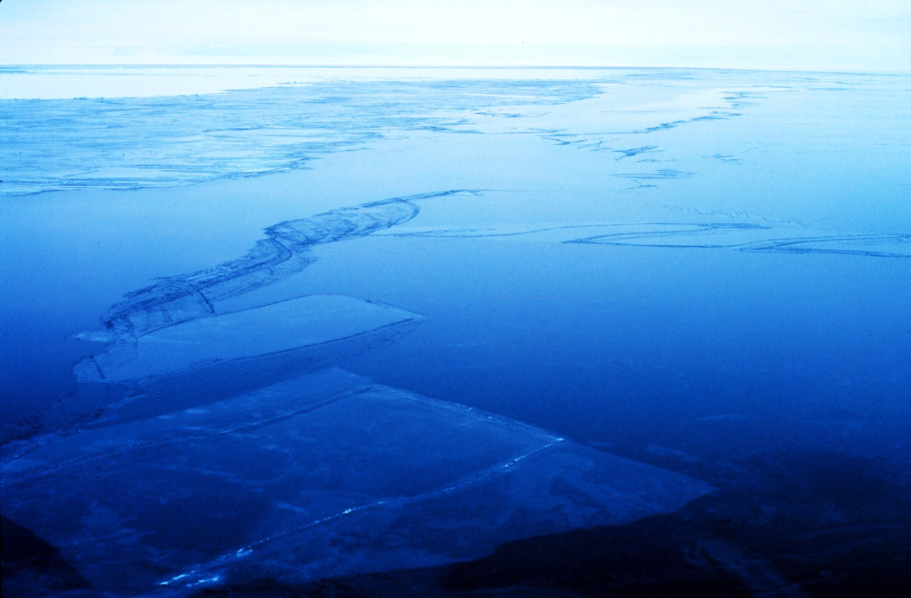 Thin rafted sea ice