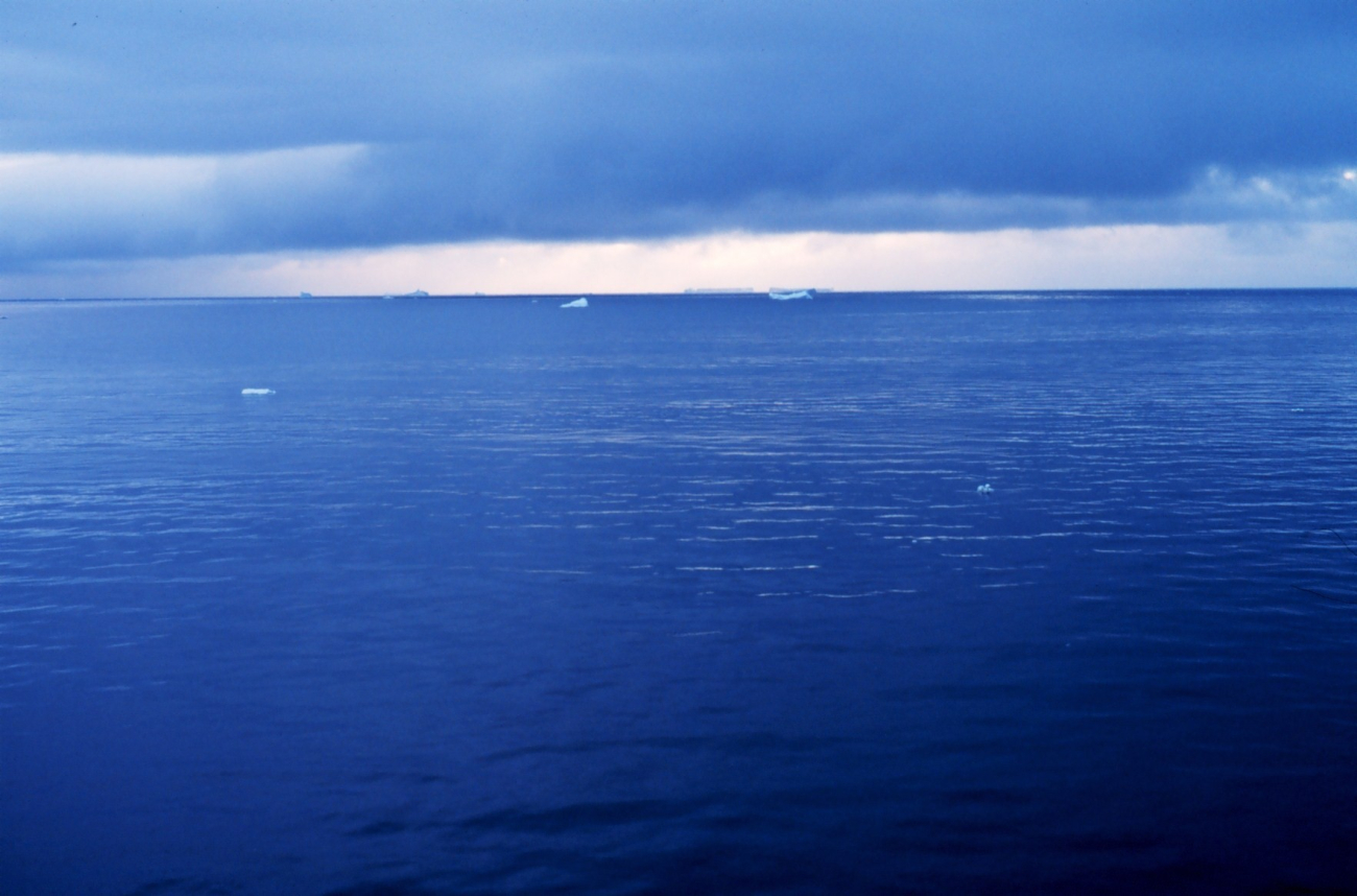 Icebergs drifting in the Ross Sea
