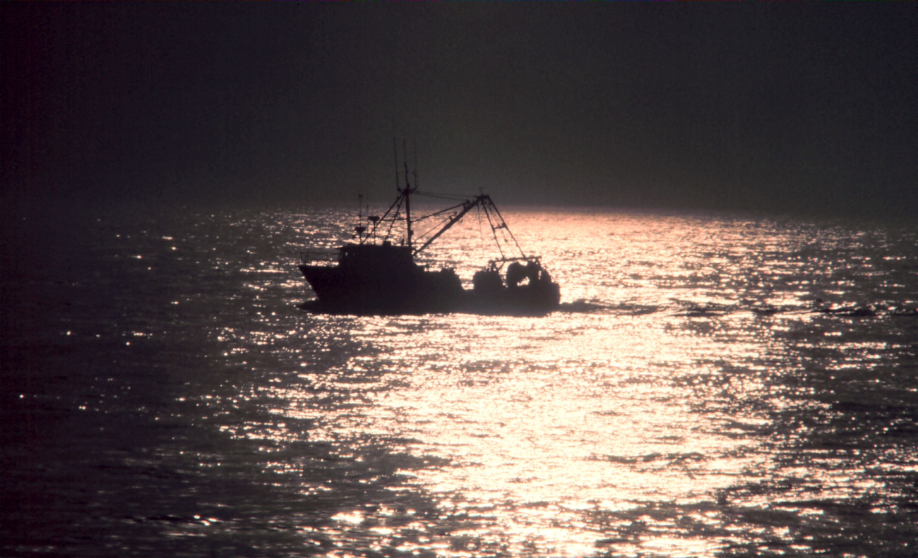 A small fishing boat caught in the sparkle of the late afternoon sun
