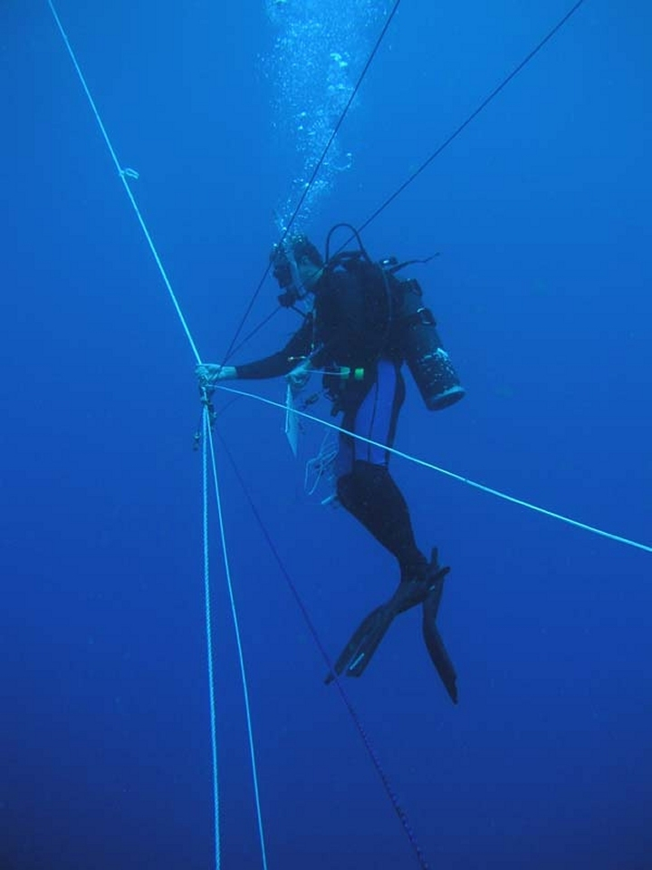 Marine scientist spiderman Misha Matz coordinates a blue water dive for 4companions - each at the end of a rope tether and each rope kept taut by aweight and pulley system that is attached to a toilet flange