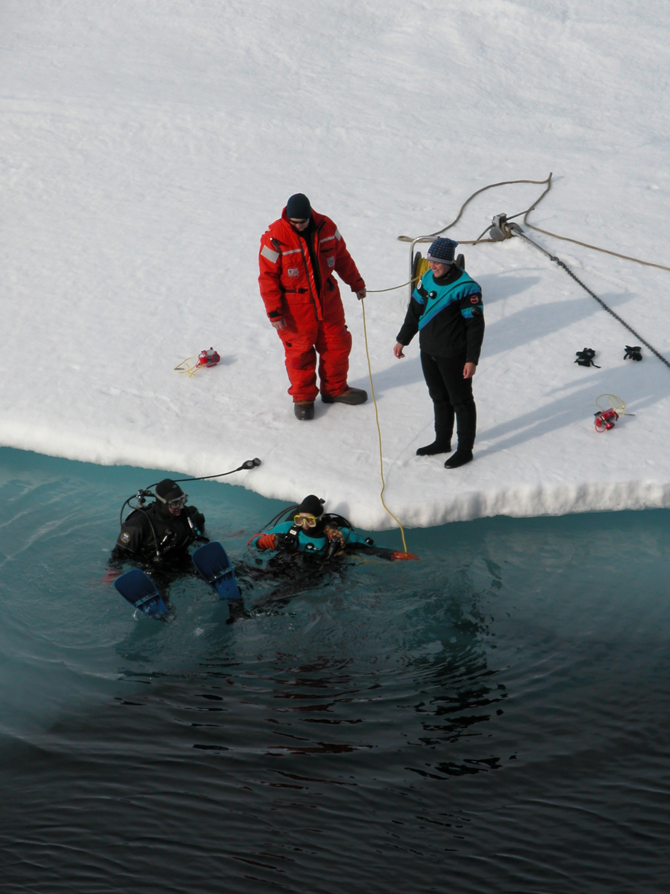 Divers enter icy waters from the edge of an ice floe