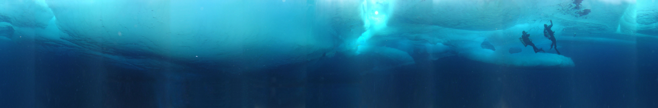 Panoramic view of the bottom surface of ice floes and under ice divers deployedfrom the USCGC Healy