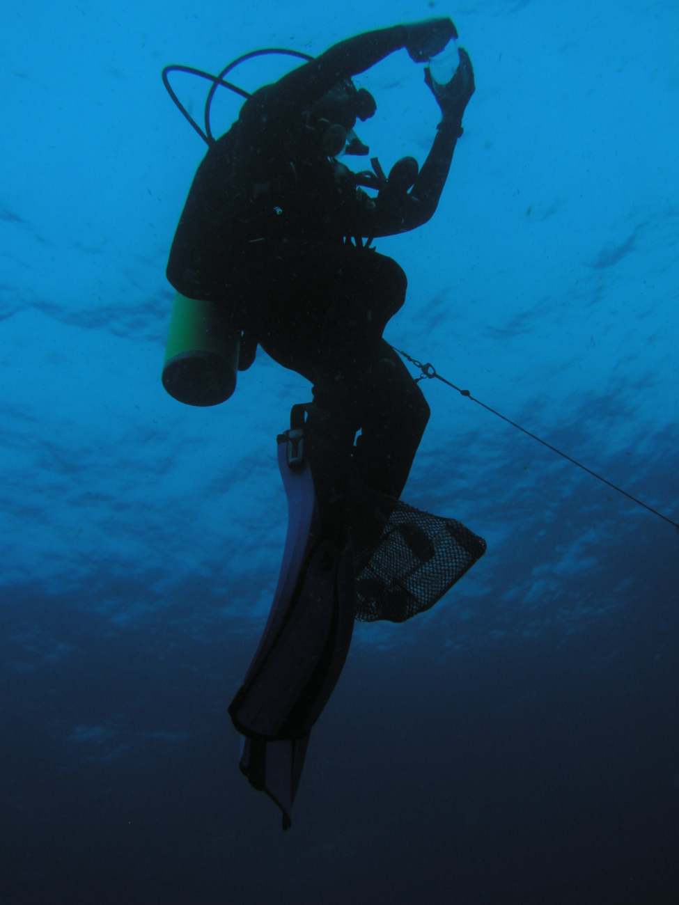 Tethered diver in blue water dive observing fauna in the water column