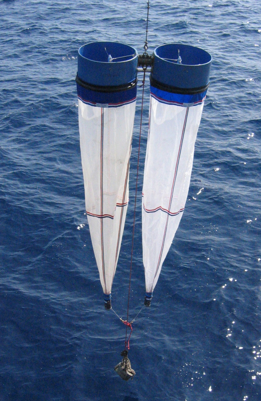 Paired bongo nets are lowered on a wire to a depth of 500 meters