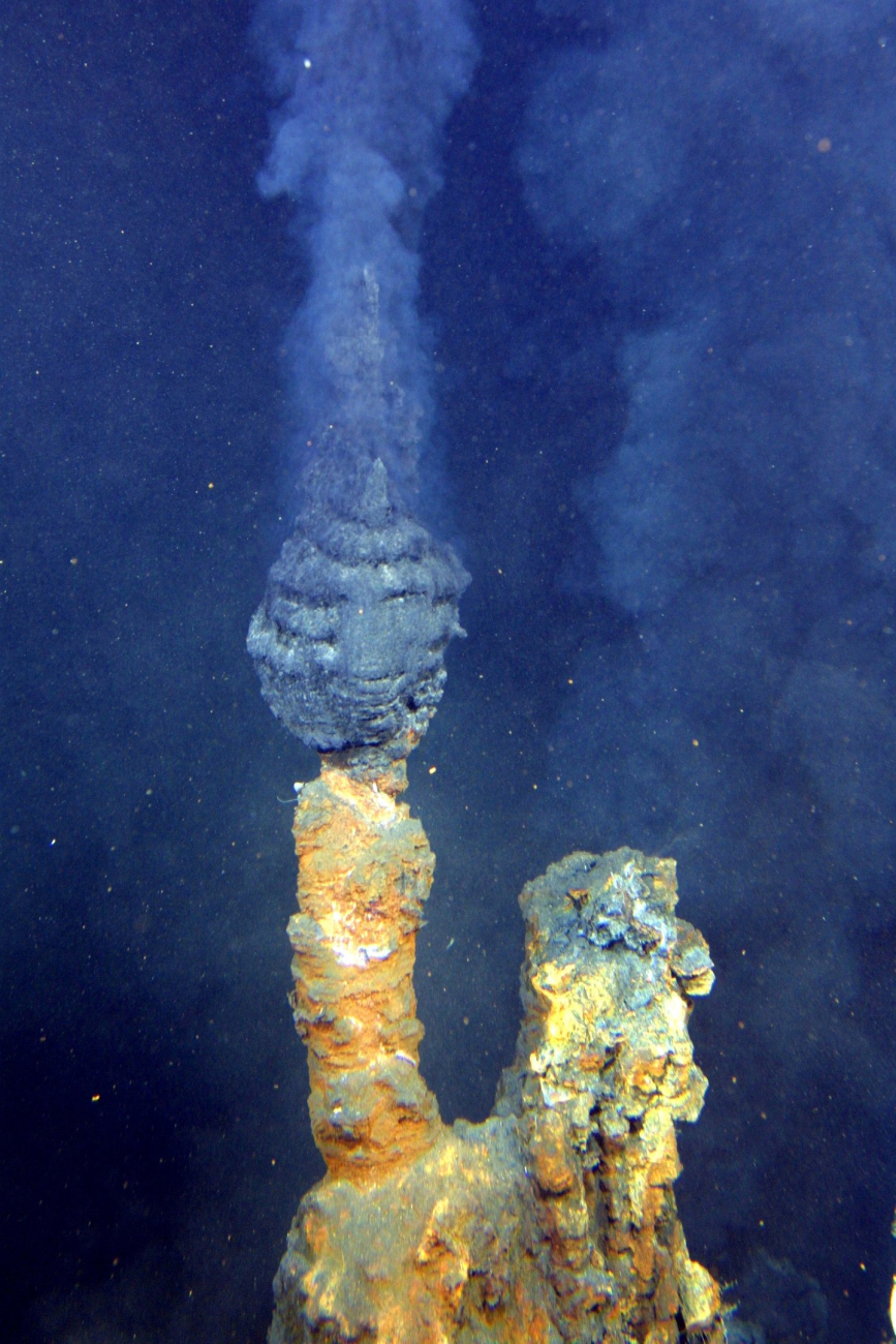 A good example of one of the many active hydrothermal chimneys (commonlyknown as black smokers) that occur at the NW caldera site