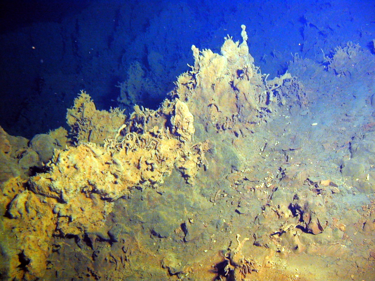 Iron precipitates grow in bizarre tubular twists at Healy submarine volcano