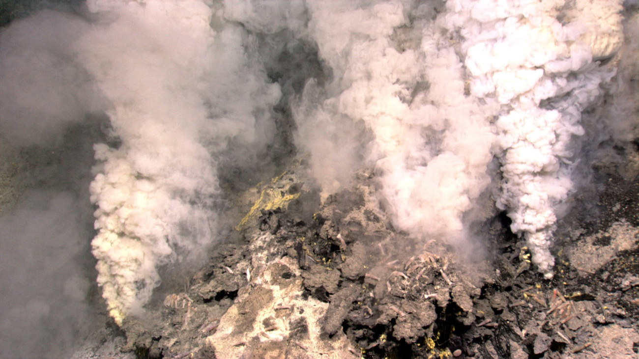 Hydrothermal vents found on the undersea volcano Kawio Barat (West Kawio)Seamount