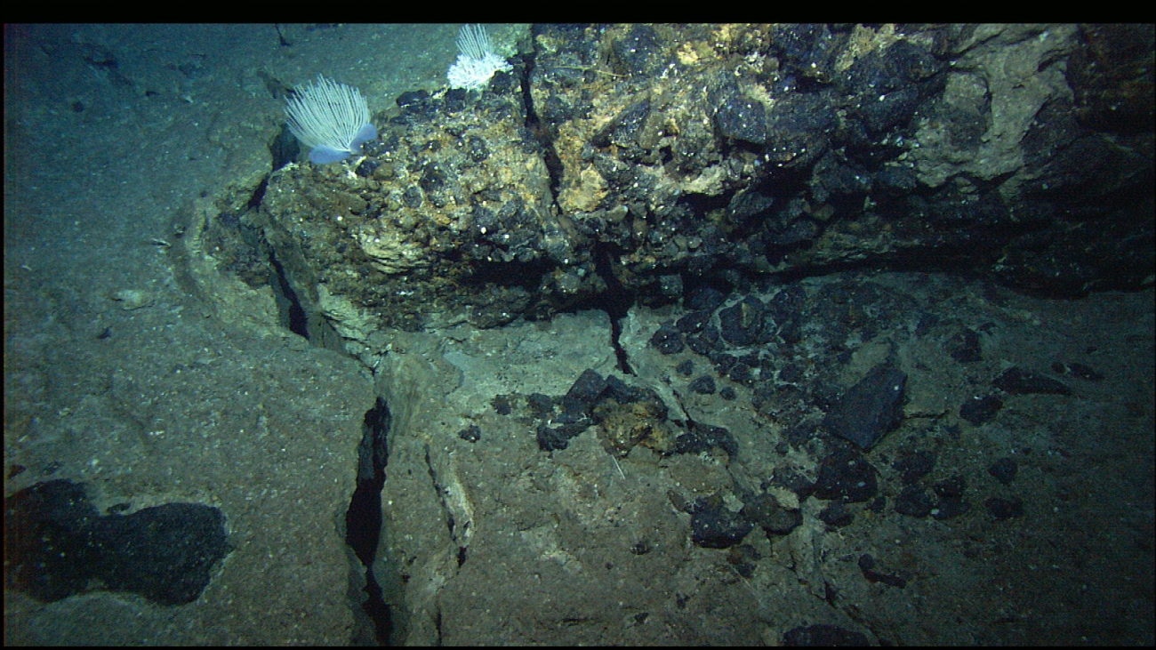 Broken rock fragments and cracks on the seafloor are indicative of a highlyfaulted terrain