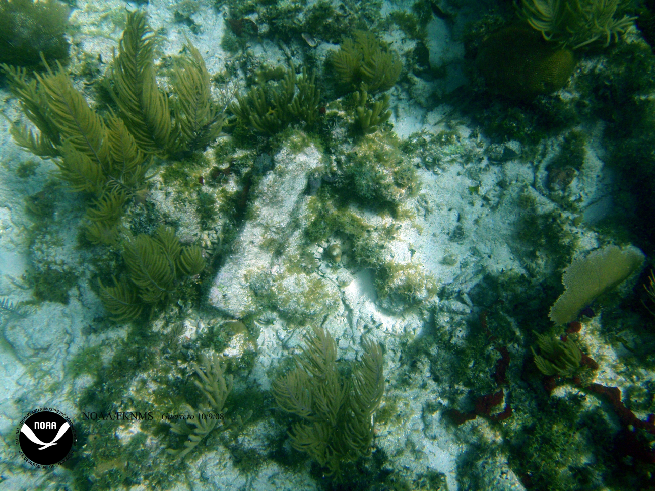 Remains of the wreck of the Ship GUERRERO
