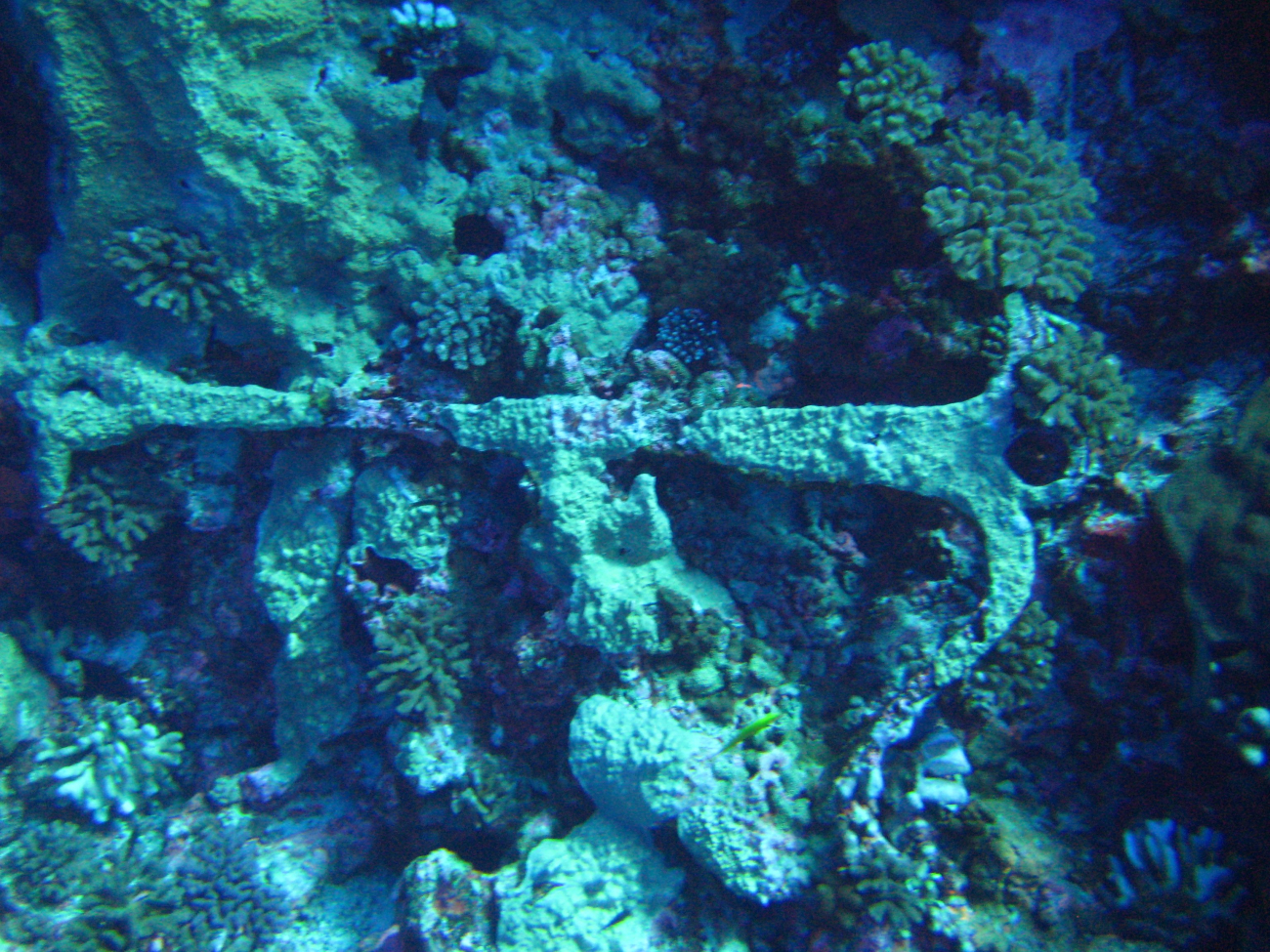 A lost anchor - just fouled? or possibly a shipwreck?