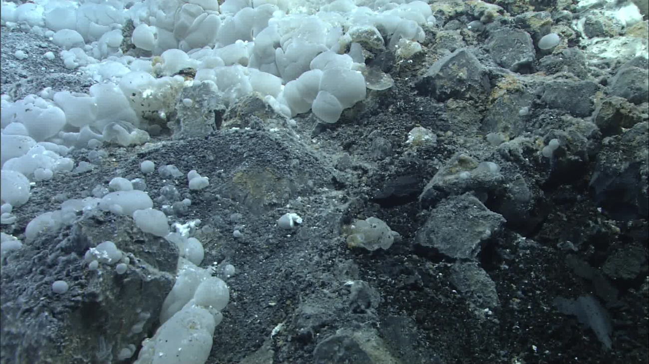 These gelatinous globules covered large areas of the seafloor seen while the ROV was ascending the western slope of the central cone within the large calderaof Volcano O during dive Q324
