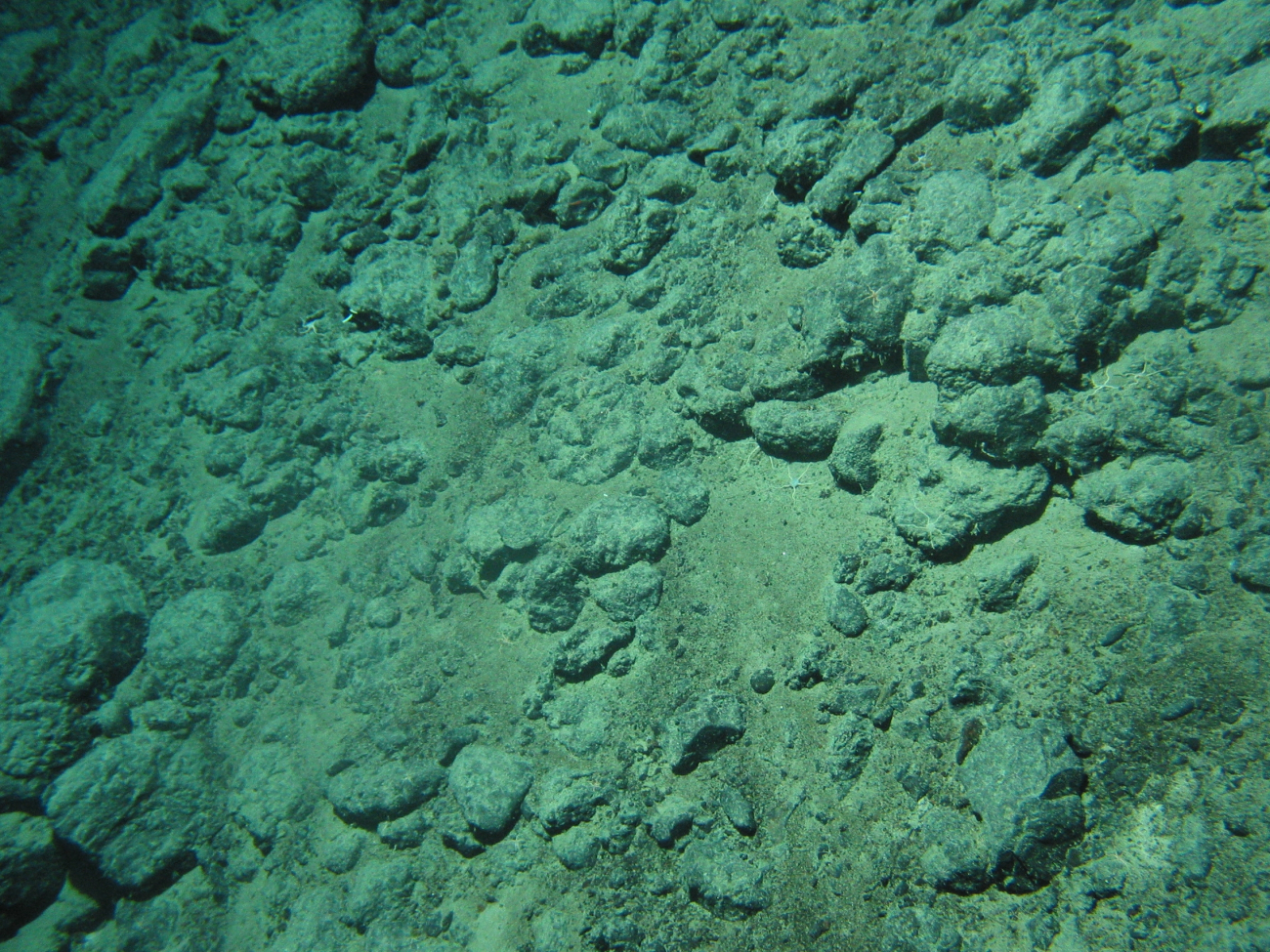 Basalt boulders with a few random brittle stars