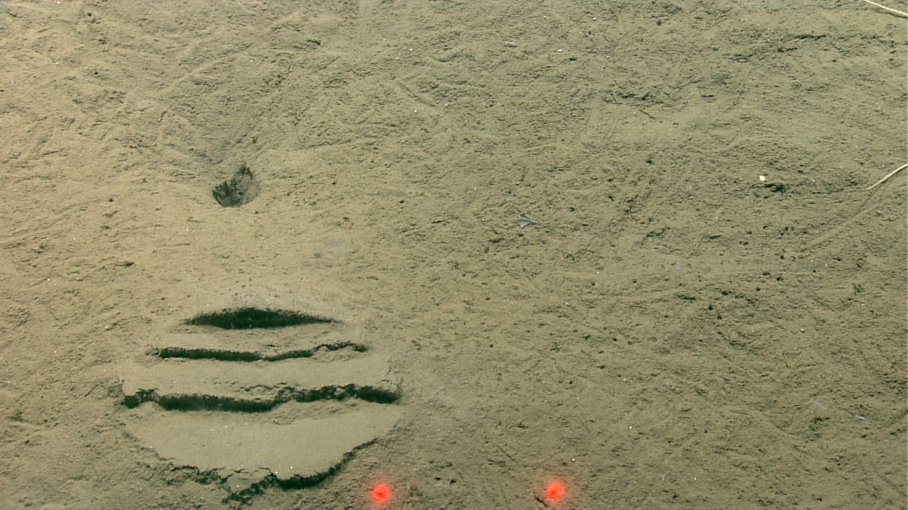 An imprint on the seafloor looks man-made