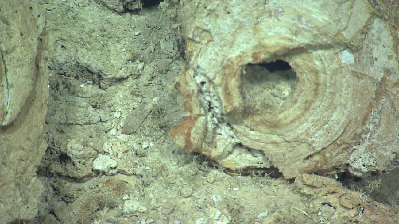 Broken fossil burrow material on the seafloor at the base of an escarpment