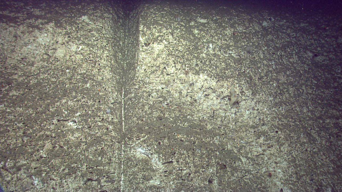 An interesting sediment chute that ends midway on an escarpment withevidence of downslope sediment movement showing with the white streakbelow the well-defined chute