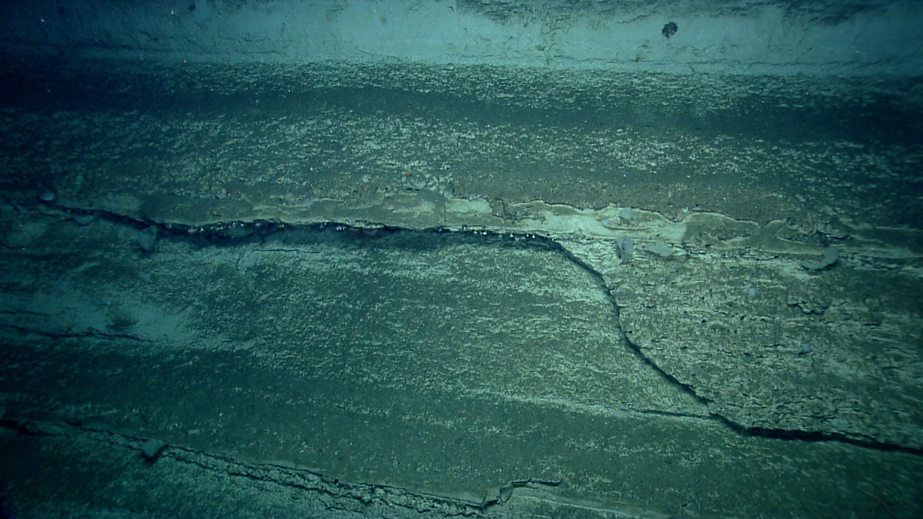 A large layer of rock has failed and tumbledto the base of the escarpment below