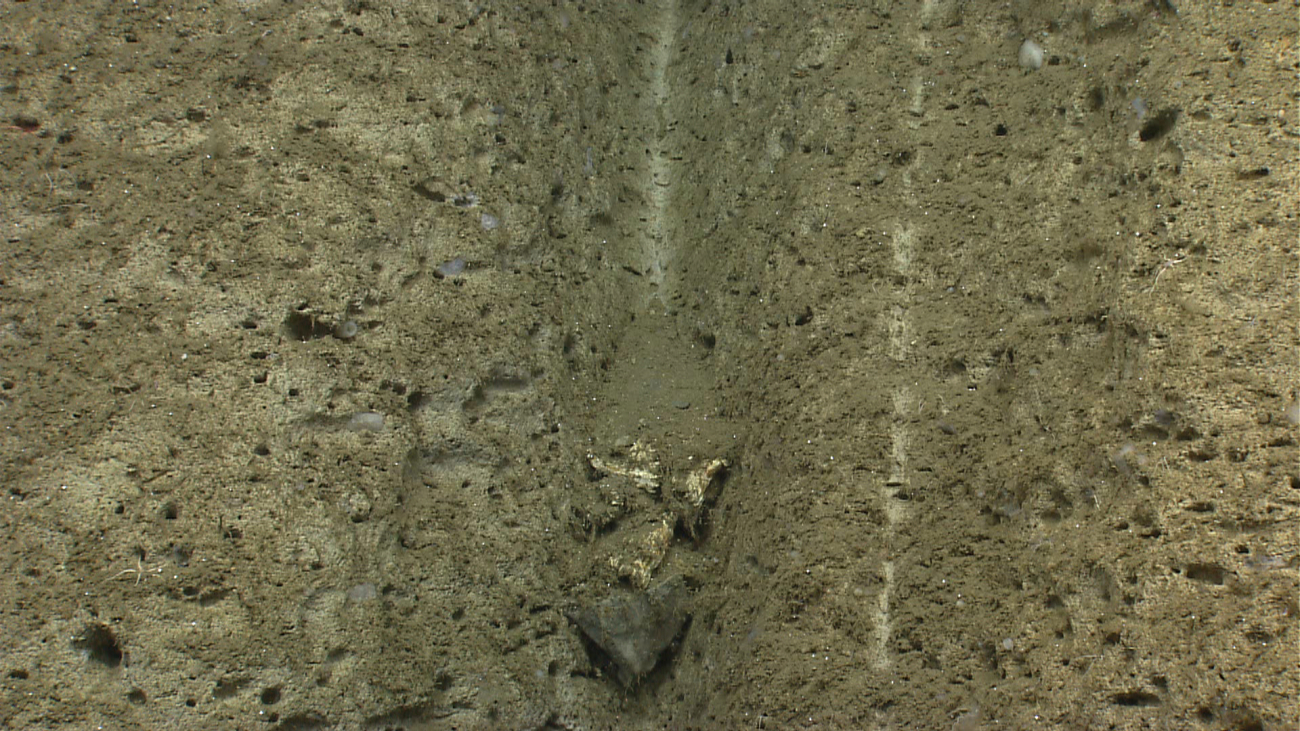 A sediment chute with a rock wedged in it