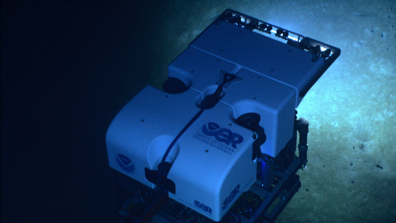 Deep Discoverer II over a seafloor pockmarked with holes probably formed bybiological activity
