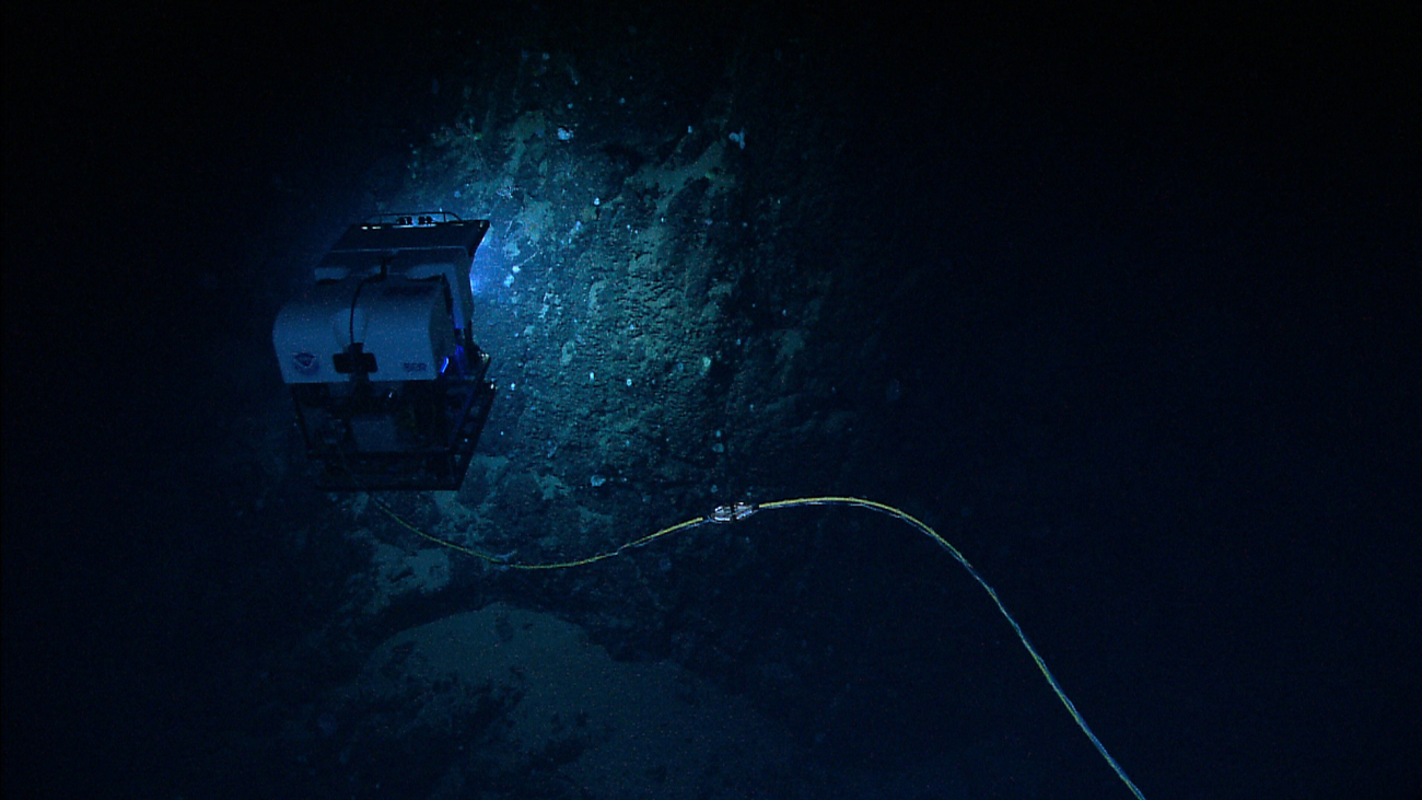 ROV D2 flying close to basalt escarpment