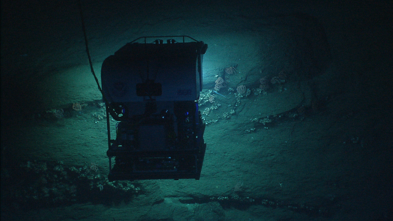 Deep Discoverer ROV as seen from Seirios while working along a vertical wall