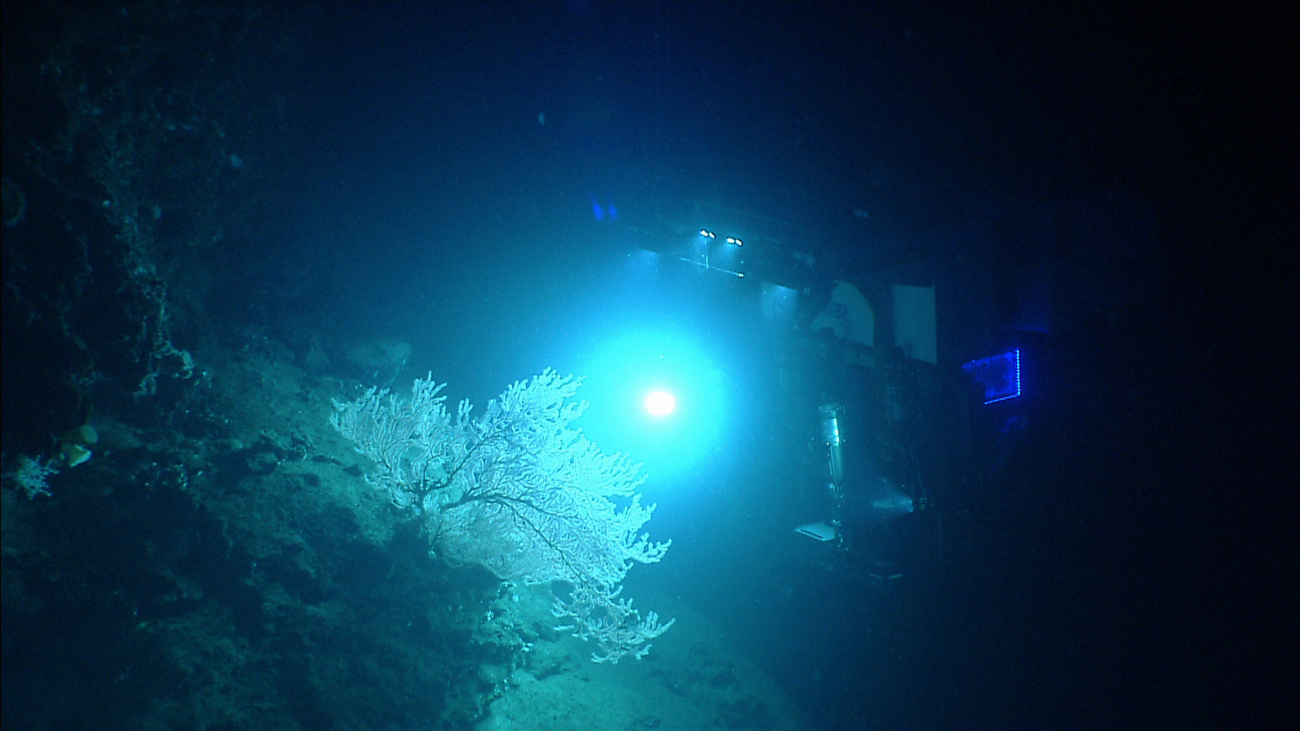 Deep Discoverer ROV as seen from Seirios