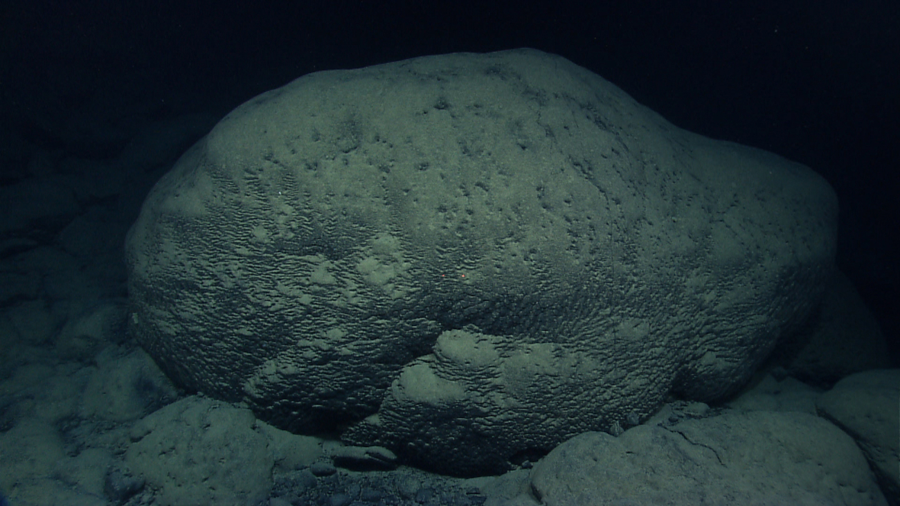 A large pillow lava on an unnamed seamount at 38 55 N 64 49 W at approximately4680 meters depth