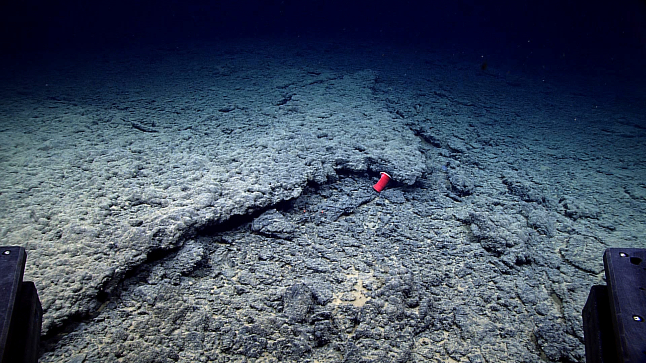 A piece of trash on the seafloor, virtually in one of the most remote places inthe world ocean