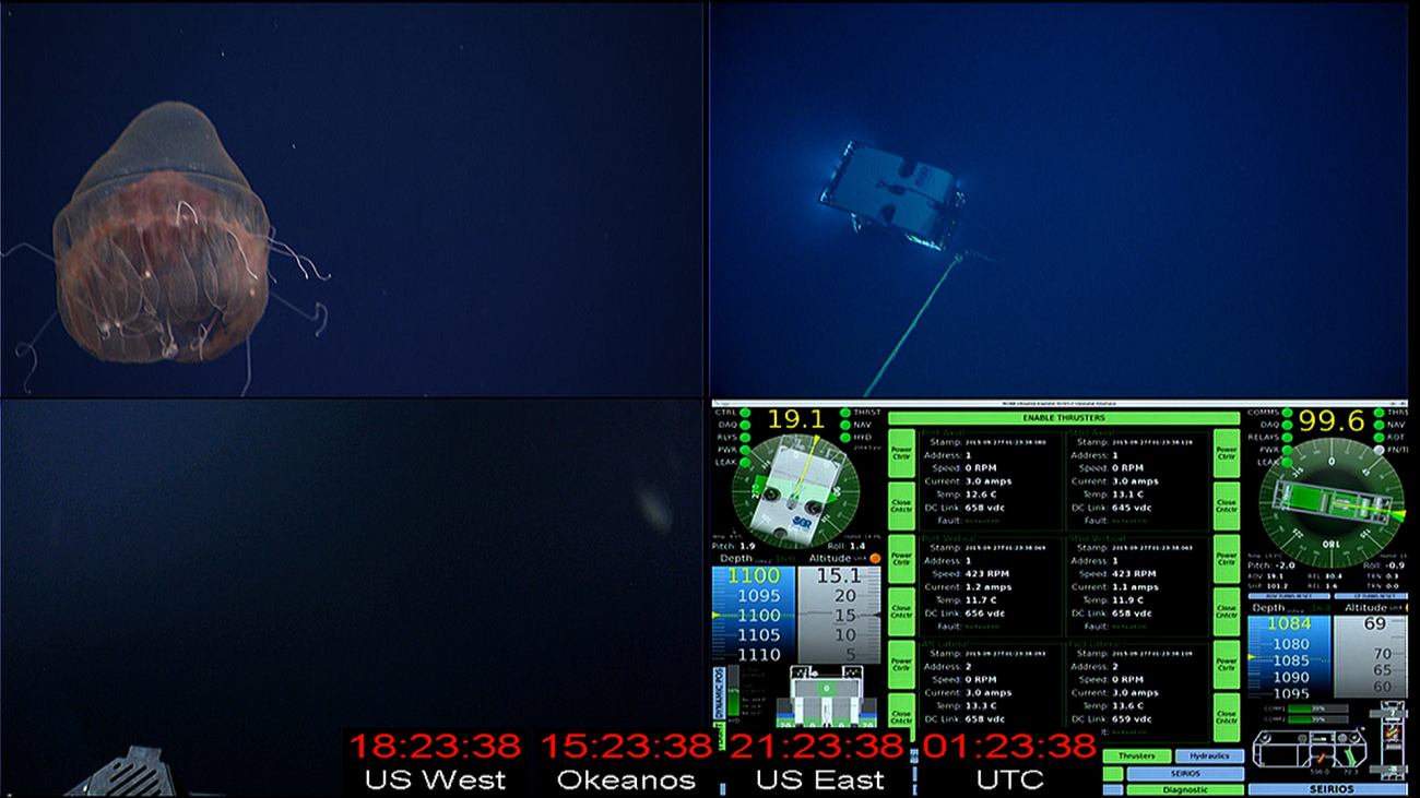 View in operations room of Deep Discoverer at 1084 meters viewing pinkishbrown jellyfish