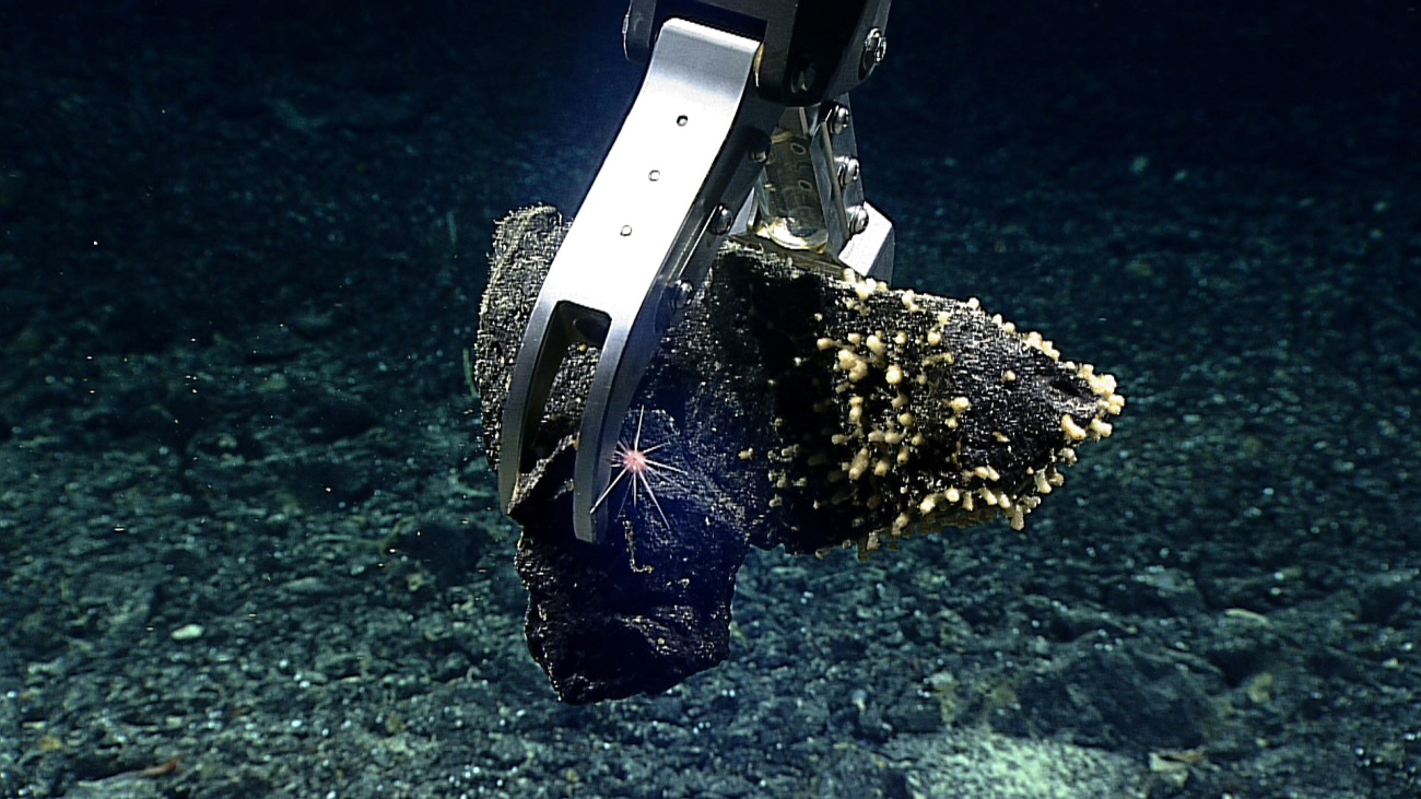 Acquiring rock with robotic arm of Deep Discoverer
