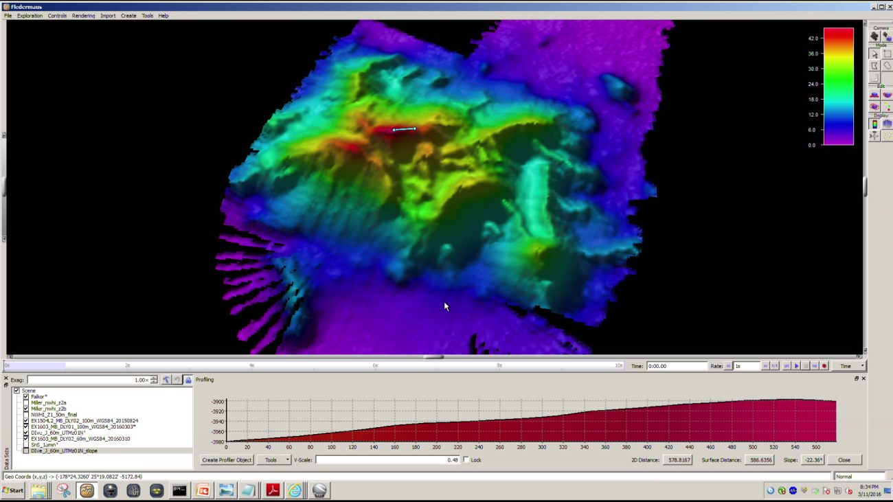 Screen capture of complicated volcanic seafloor topography