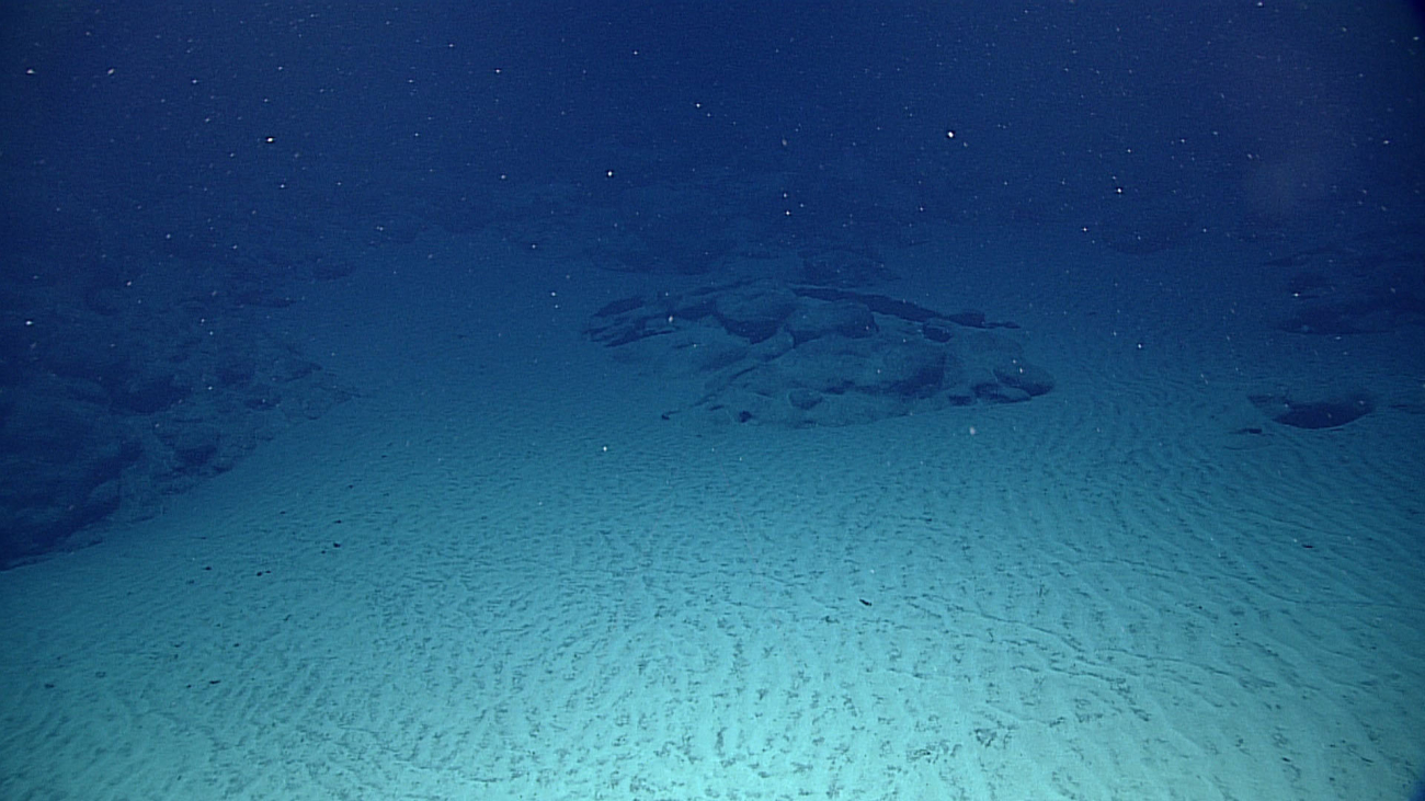Lumpy manganese crusted outcrops transitioning into sediment covered seafloorwith ripples