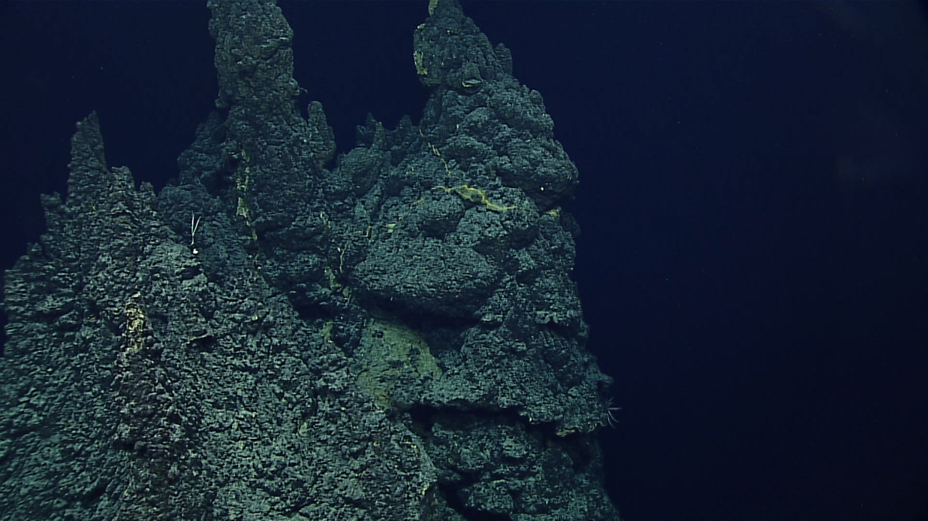 Extinct hydrothermal chimneys with little associated biota