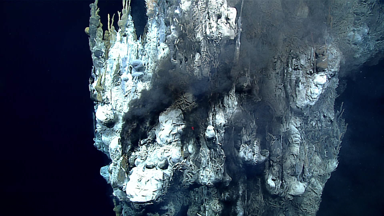 An array of hydrothermal chimneys and spires with a black