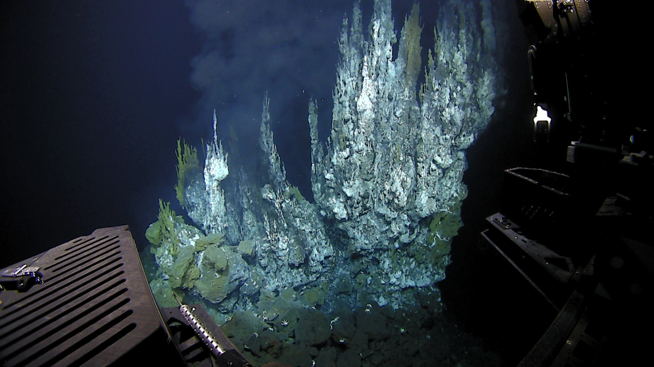 Hydrothermal spires emitting hot mineralized water