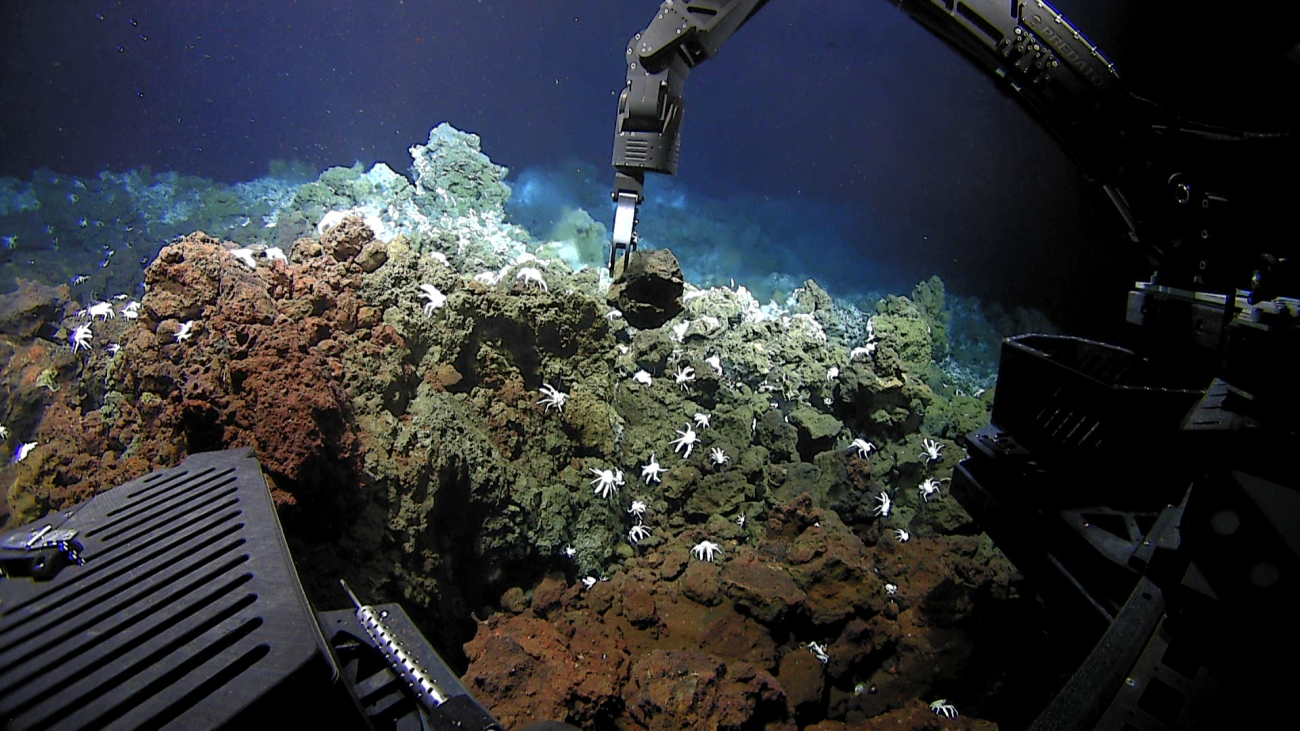 Deep Discoverer sampling a rock from the hydrothermally altered rockssurrounding a vent area