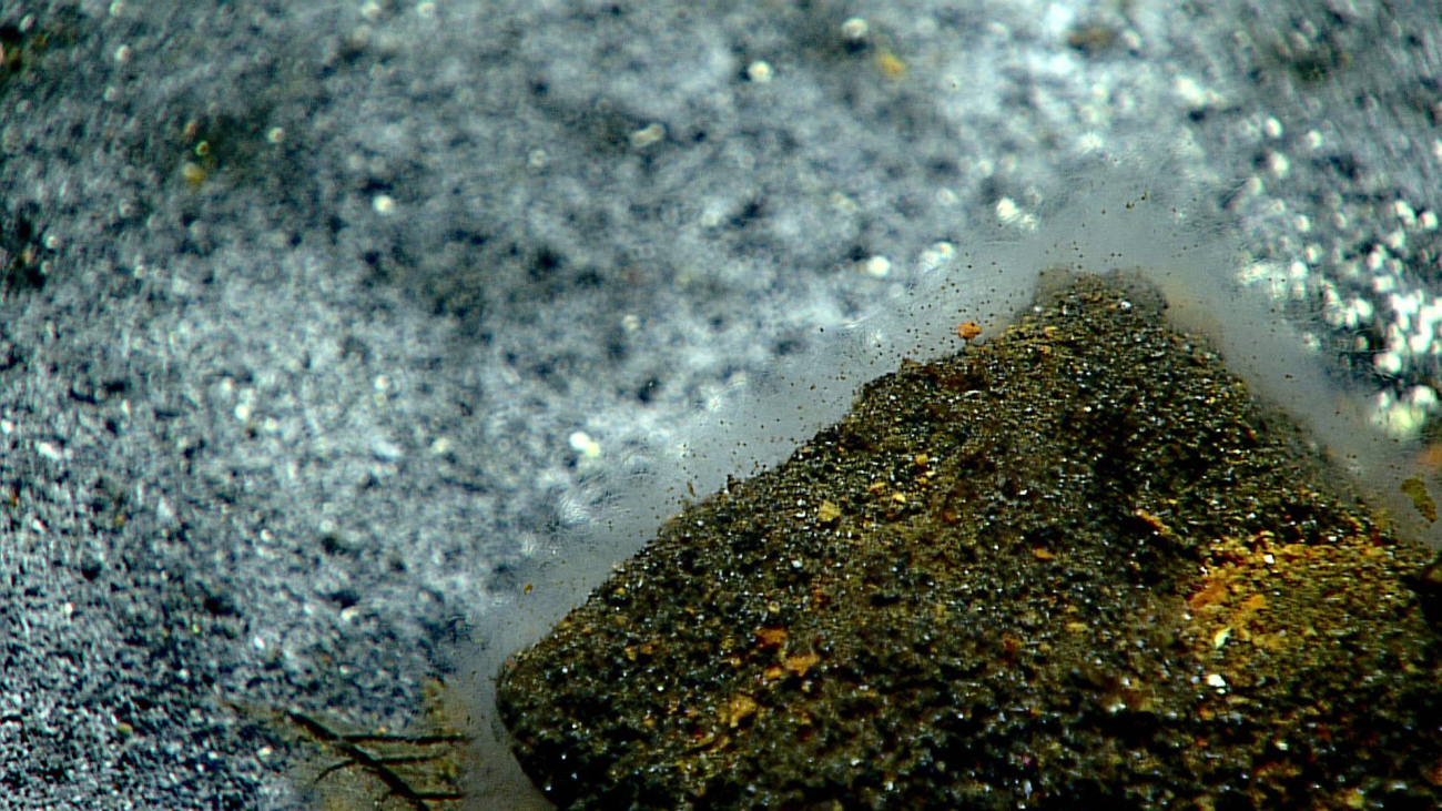 Bacterial mat covering oxidized rock surface