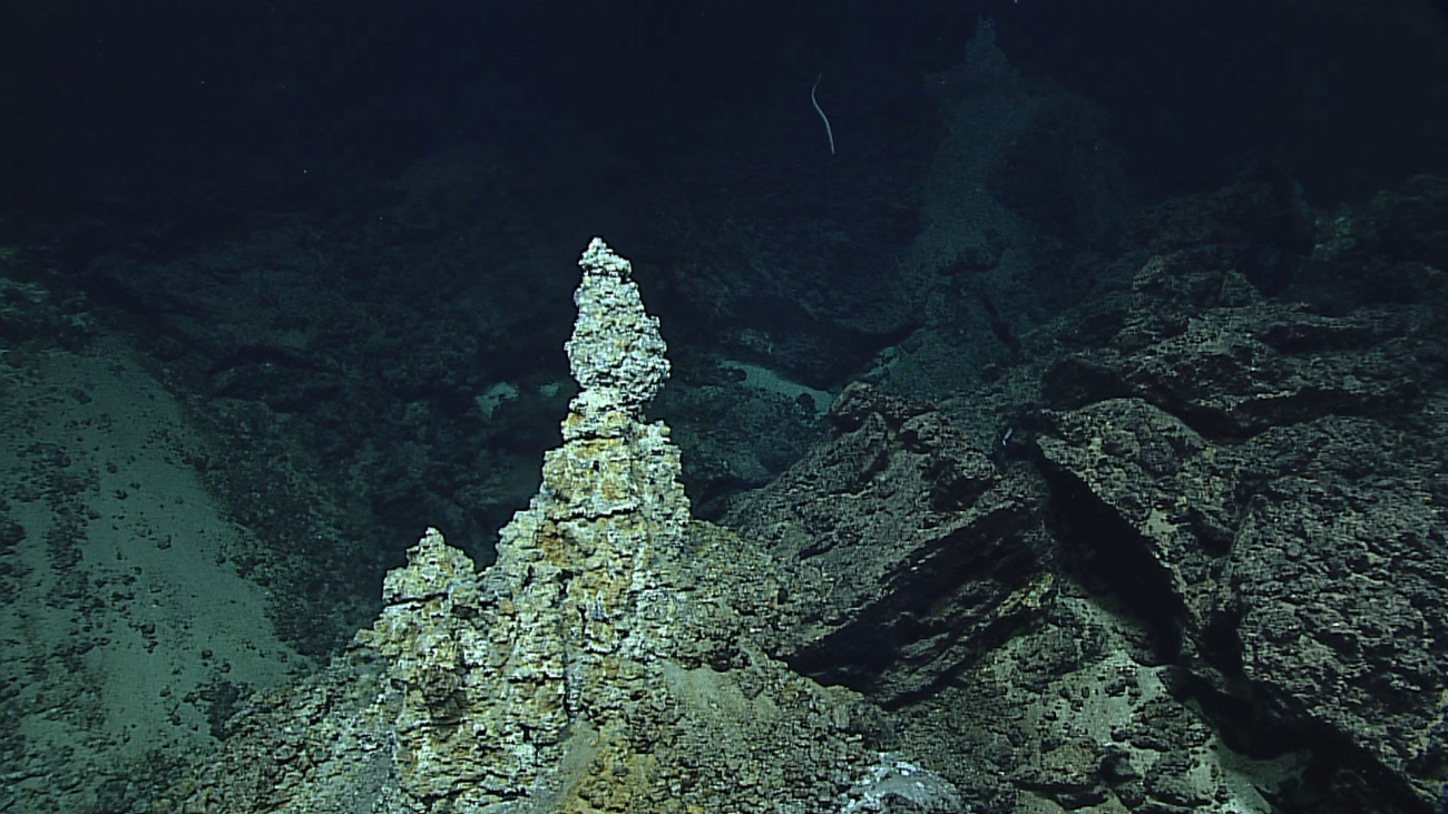 A small chimney at a hydrothermal vent