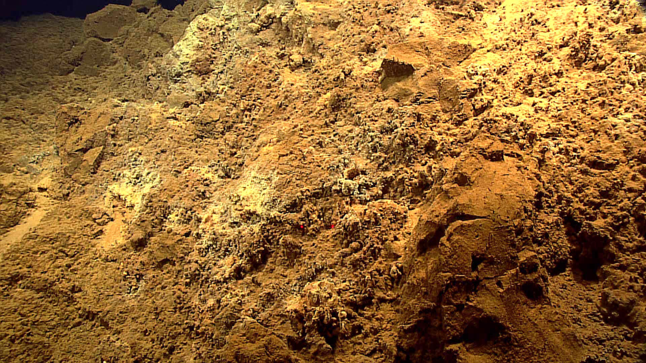 Yellow microbial mat material in the vicinity of active venting