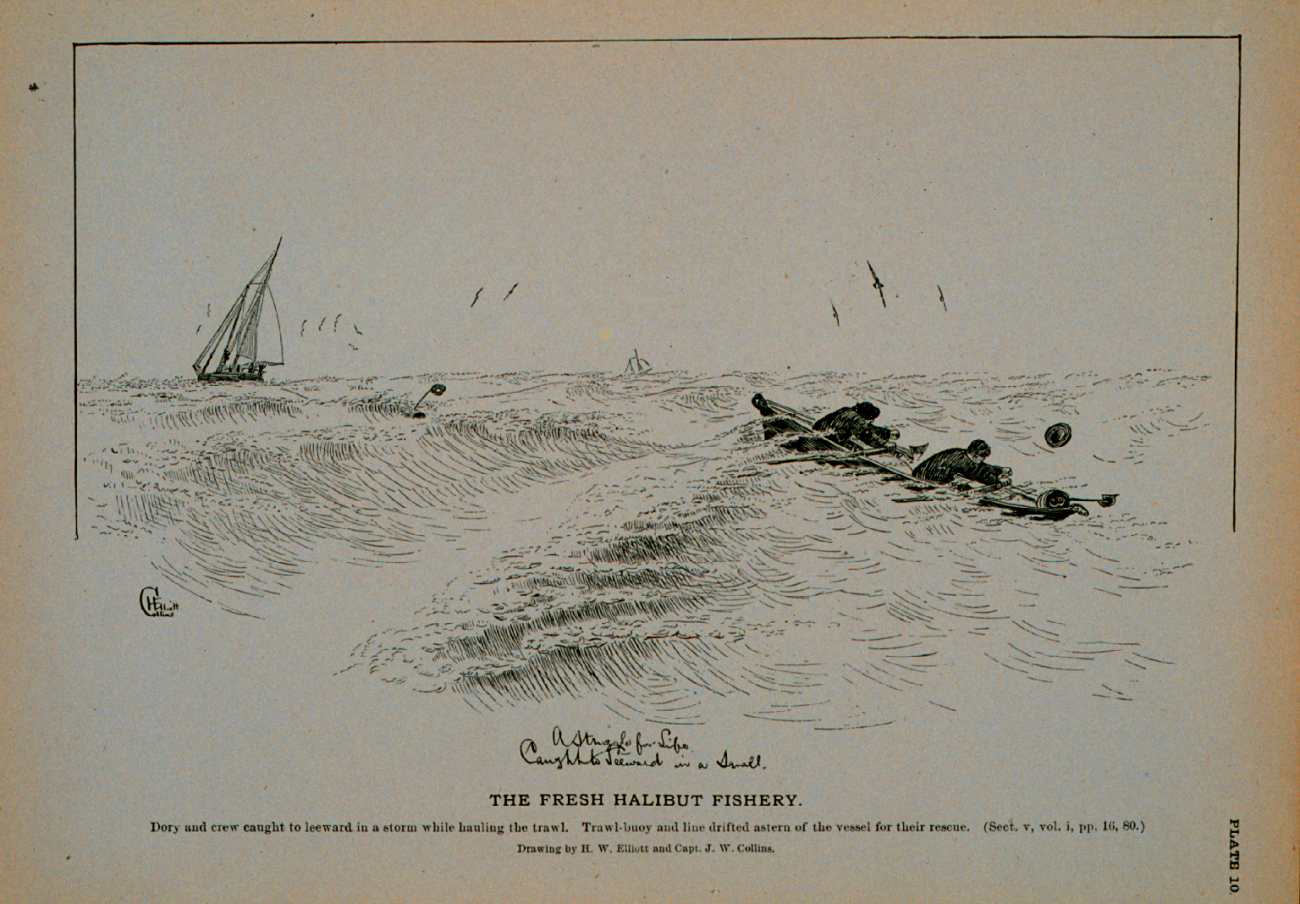 Dory and crew caught to leeward in a storm while hauling the trawlTrawl-buoy and line drifted astern of the vessel for their rescueDrawing by H