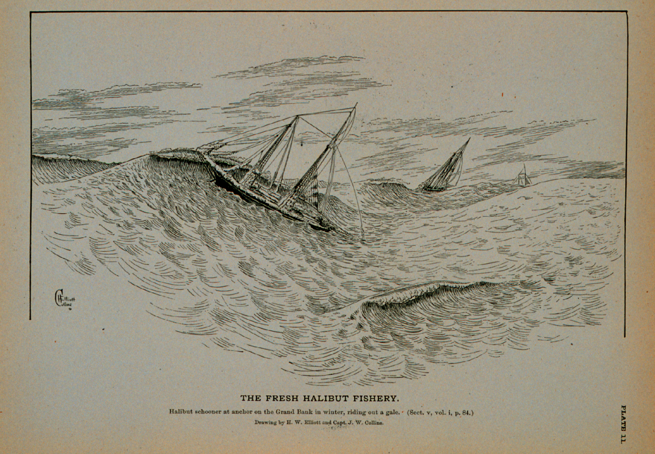 Halibut schooner at anchor on the Grand Bank in winter, riding out a galeDrawing by H