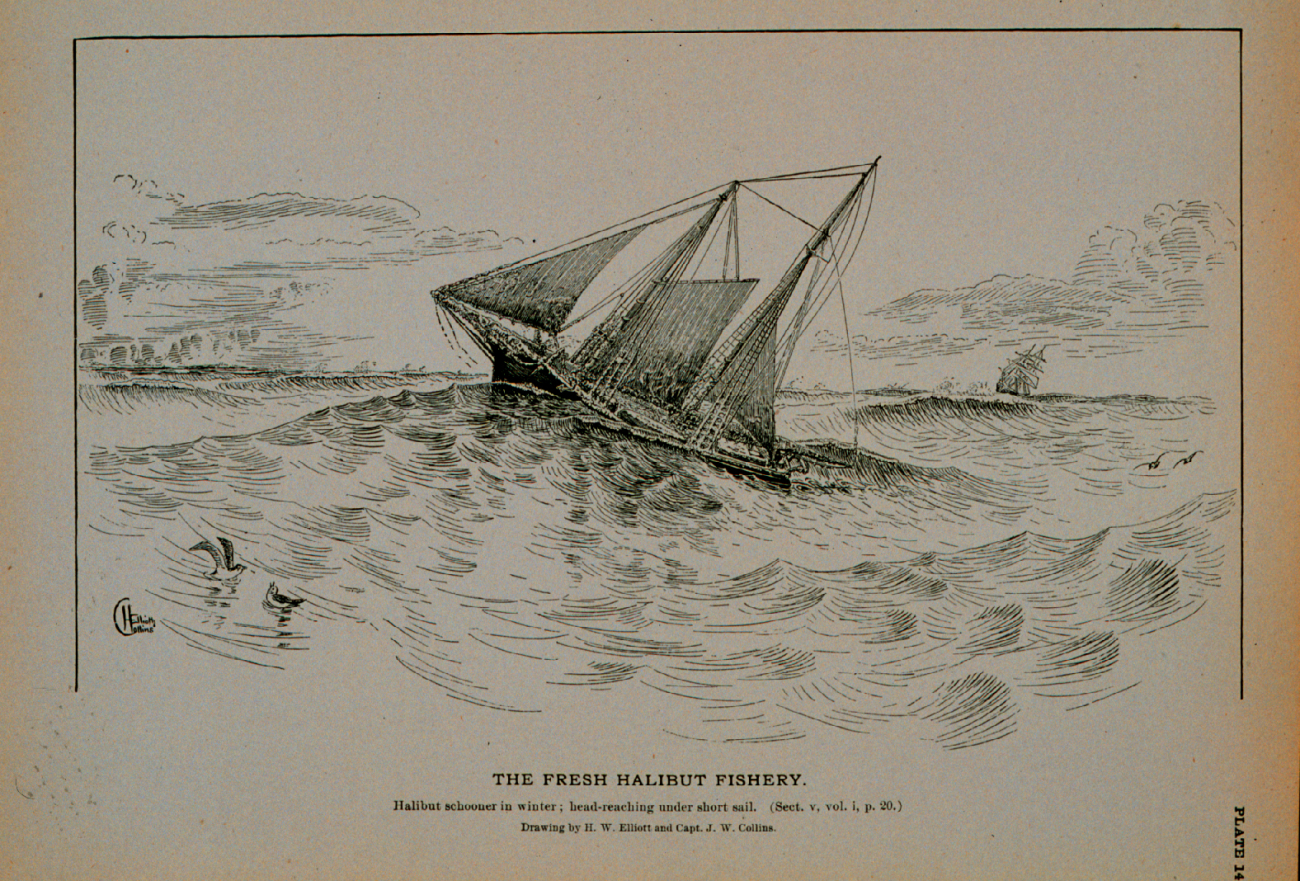 Halibut schooner in winter, head-reaching under short sailDrawing by H