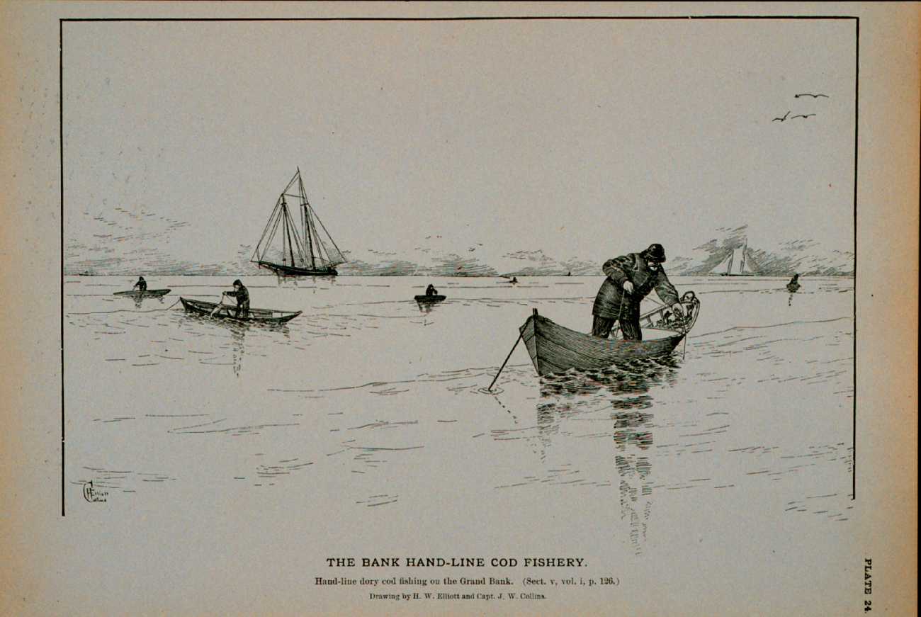 Hand-line dory cod fishing on the Grand BankDrawing by H