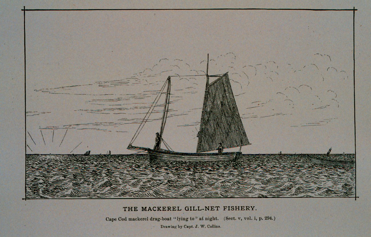 Cape cod mackerel drag-boat lying to at nightFrom sketch by J